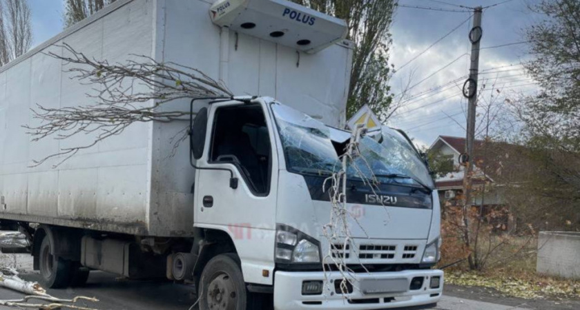 Из-за непогоды в Саратове падают деревья
