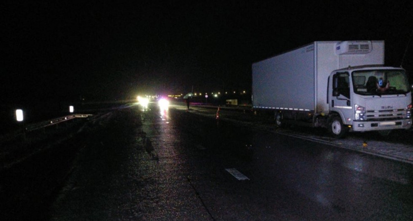 В Рязанской области водитель грузовика насмерть сбил пешехода