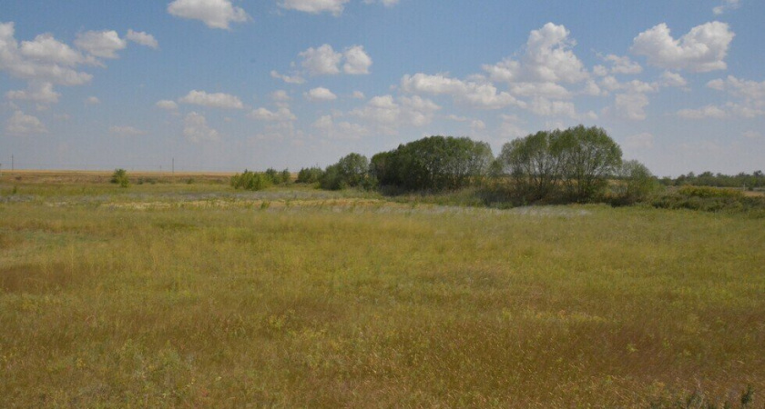 В Саратове раскрыли аферу с земельными участками по поддельным документам 1980-х годов