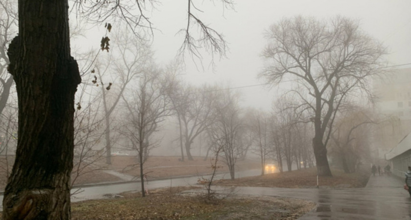 В Саратовской области ожидаются туман и порывистый ветер