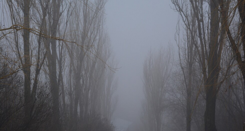 В выходные в Саратовской области сохранится облачная погода с небольшими осадками