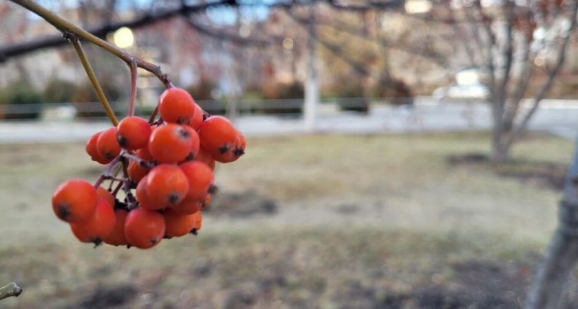 В Саратовской области ожидается сухая погода с туманом