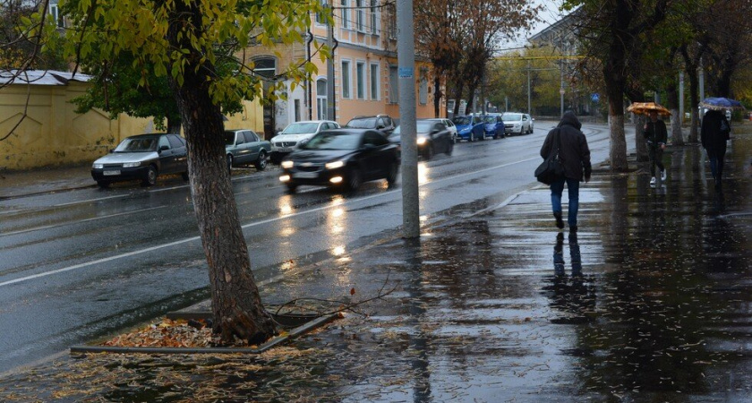 В Саратовской области сохранится тёплая погода с дождями и сильным ветром