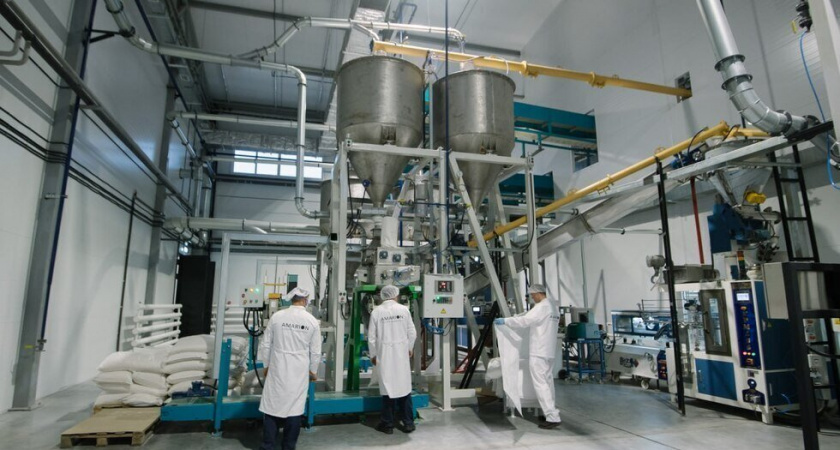 Под Воронежем открыли первый в России завод по переработке амаранта