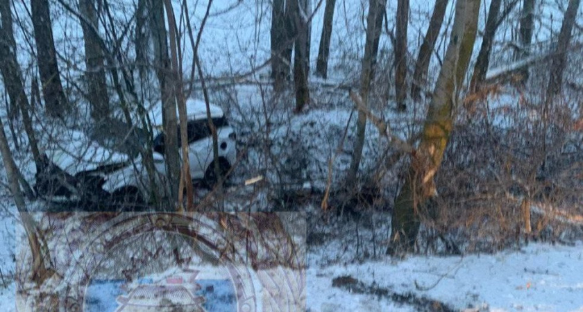 В Турковском районе Chery Tiggo врезался в дерево: трое пострадавших