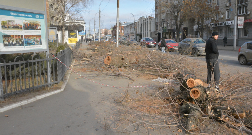 В центре Саратова спилили деревья и перекрыли движение в час пик