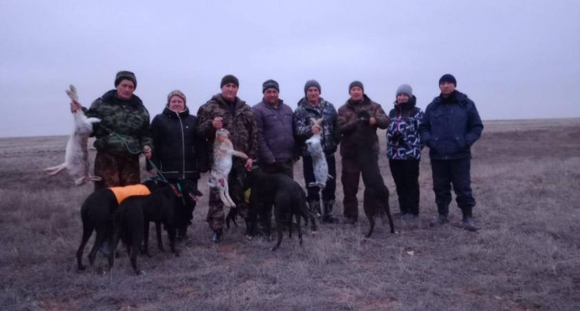 В Саратове прошли испытания охотничьих собак на ловлю зайцев