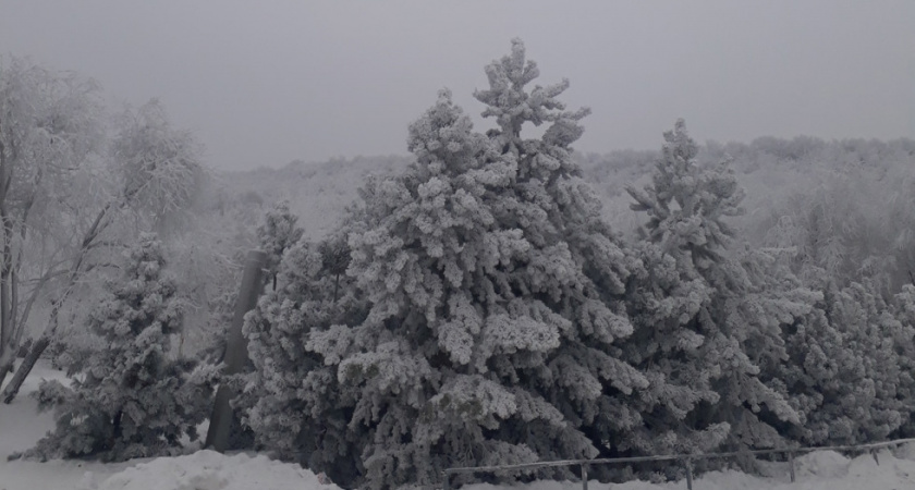 В Саратовскую область вернутся 20-градусные морозы