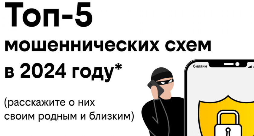 Билайн назвал пять главных схем мошенничества в 2024 году