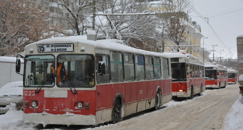 В Саратове на три часа остановят два троллейбусных маршрута из-за опиловки деревьев