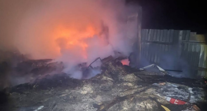 В сторожке под Саратовом сгорел человек