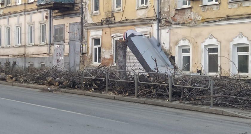 В центре Саратова продолжается массовая вырубка деревьев
