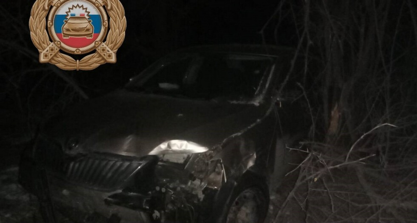 В Саратовской области Skoda врезалась в дерево: пострадали женщина и ребенок