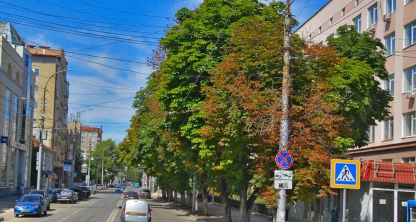 Мэрия Саратова объяснила законность сноса деревьев на Славянской площади