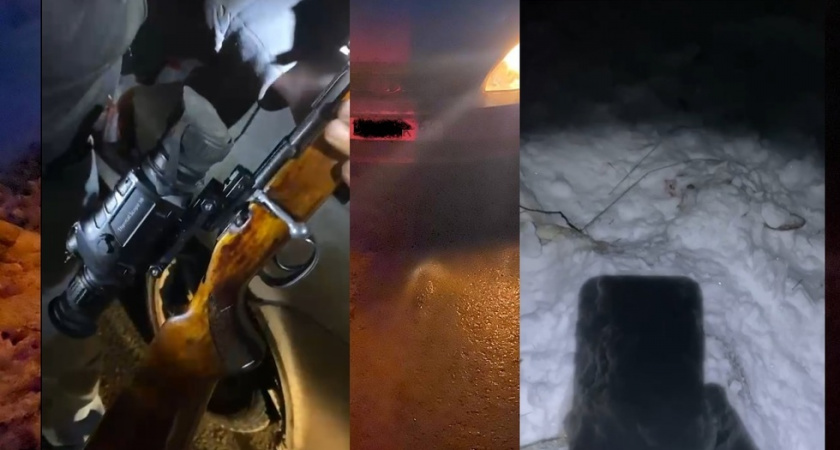 В Саратове передали в суд дело о незаконной охоте на косулю