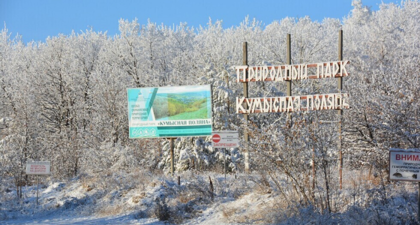 В Саратове завели дело о незаконной вырубке деревьев на Кумысной поляне