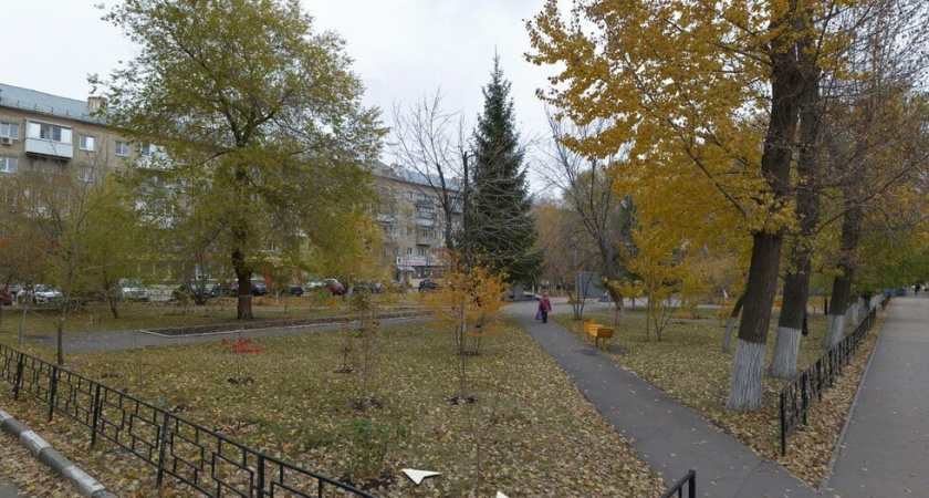 В Саратове планируют снести около 300 деревьев в разных районах города