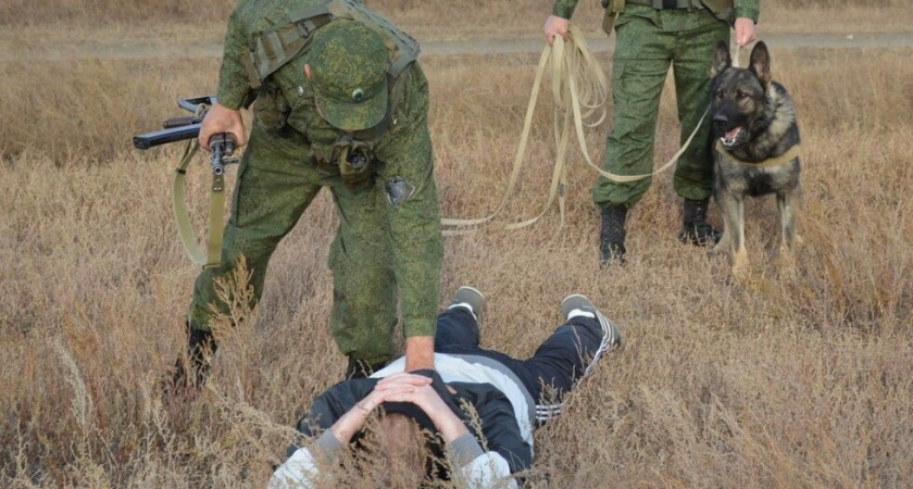 Четверых афганцев осудили за попытку нелегально пересечь границу в Саратовской области