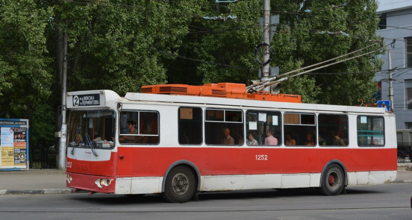 В Саратове остановили троллейбусы из-за спила аллеи каштанов