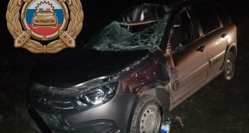 В Лысогорском районе водитель пострадал при столкновении с лосем