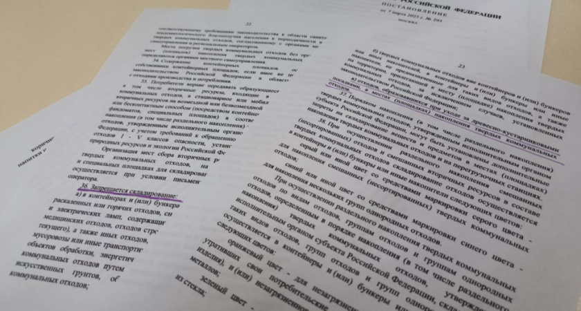 С 2025 года запретят выбрасывать ветки и листья в обычные мусорные контейнеры