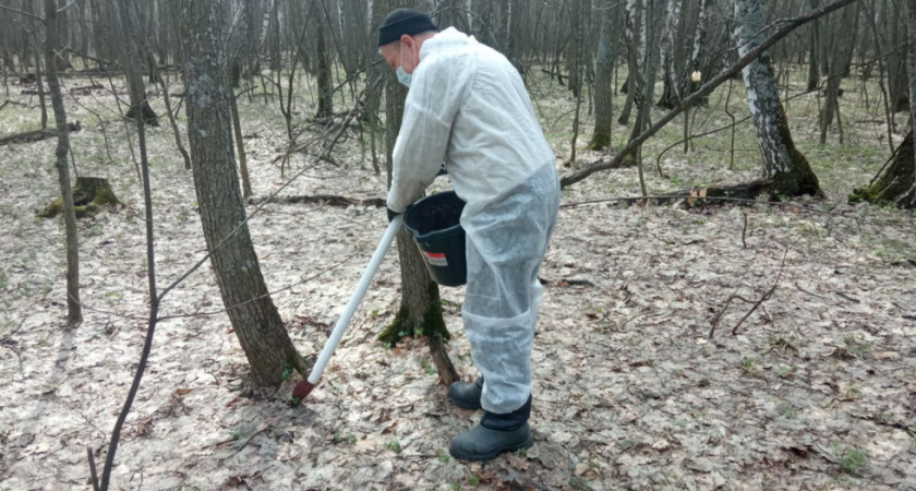 На Кумысной поляне в Саратове обнаружено превышение численности грызунов
