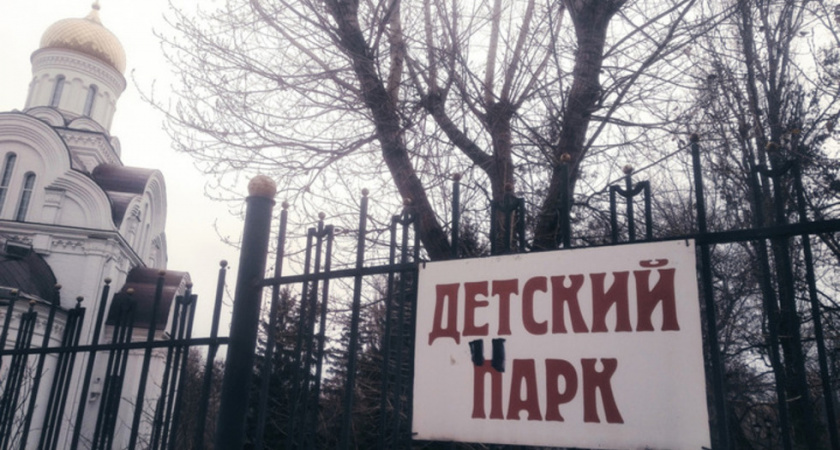 В Саратове планируют вырубить более 100 деревьев в парках и школах