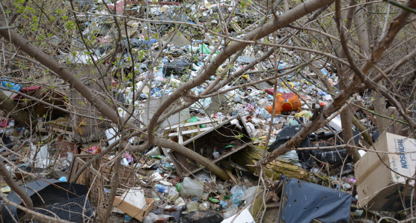 В Саратове началось строительство очистных сооружений в Глебучевом овраге за 650 млн рублей