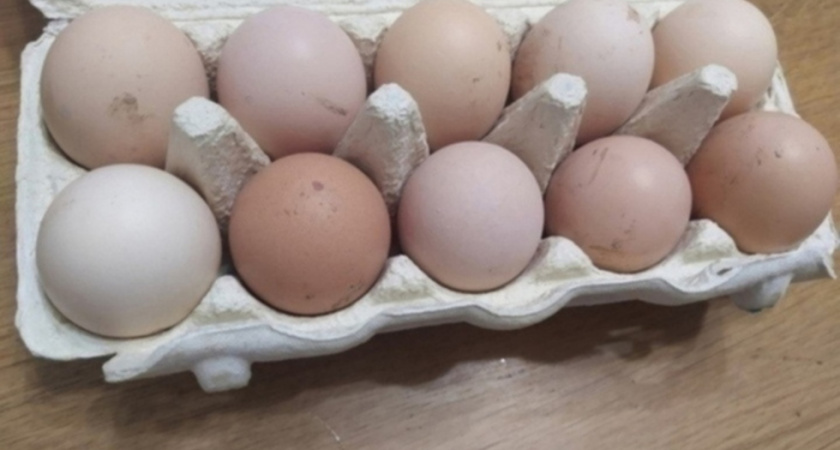 Цены на продукты в Саратовской области: свекла подорожала на 11%, огурцы подешевели