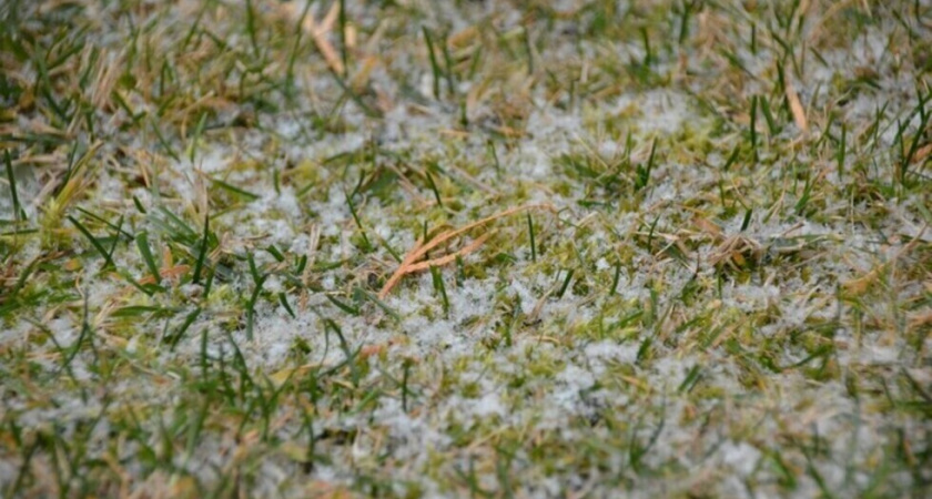 В Саратовской области похолодает до заморозков после аномального тепла