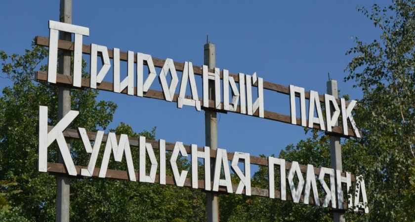 В Саратове сбросили сточные воды на территорию памятника природы "Кумысная поляна"