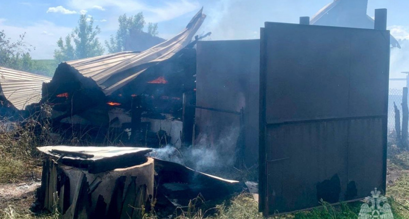 В Базарно-Карабулакском районе при пожаре пострадали отец и дочь