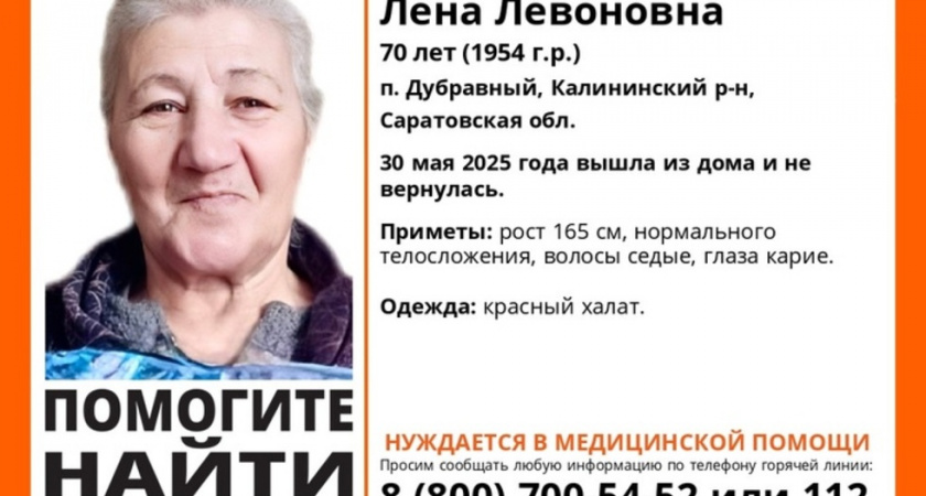 Волонтеры просят водителей проверить видеорегистраторы в поисках пропавшей пенсионерки
