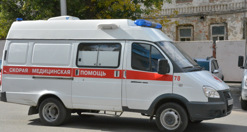 В Саратове на девочку упала ветка дерева