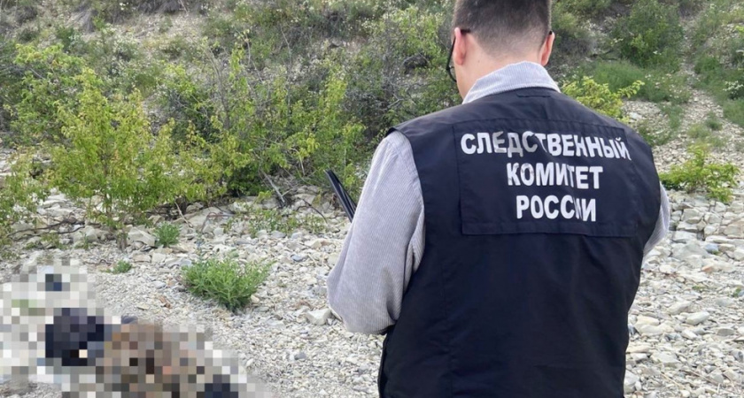 В Саратовской области нашли труп и человеческий скелет