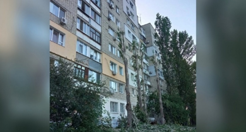 Жители Саратова возмущены вырубкой деревьев во дворе на улице Куприянова