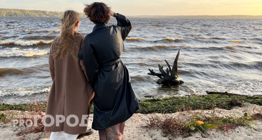 Близнецов ждут важные встречи, а Львов - насыщенная неделя