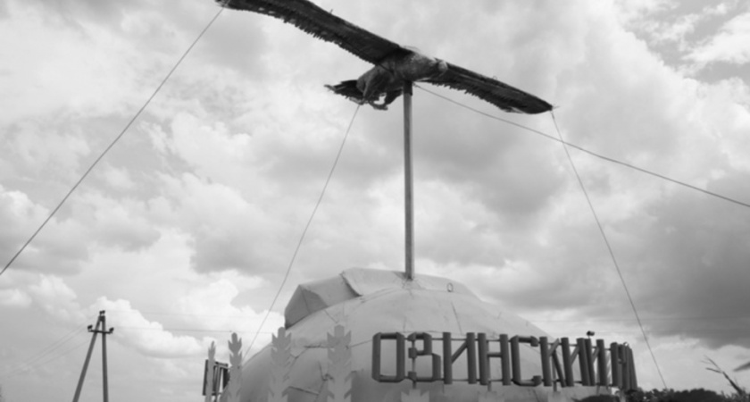 73-летнюю жительницу Крыма осудили за провоз наркосодержащего растения через границу