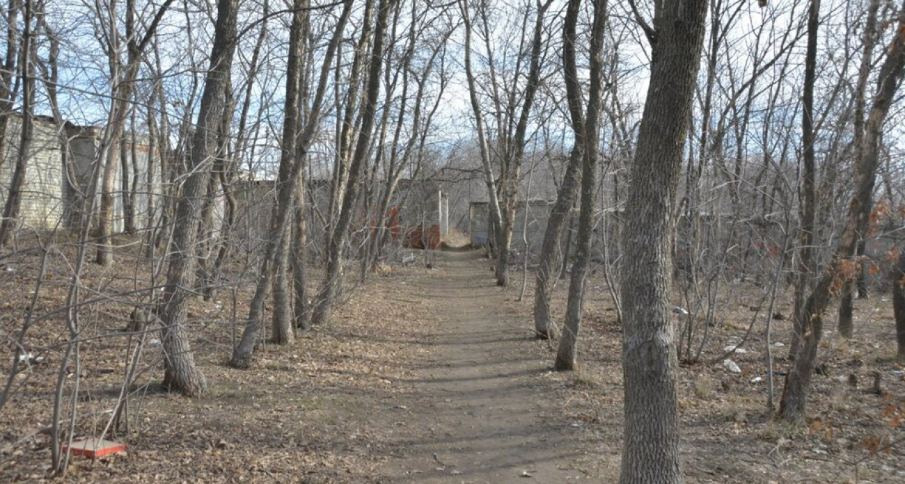 В Саратове выбрали подрядчика для благоустройства «Новой Кумысной поляны» за 26,67 млн рублей