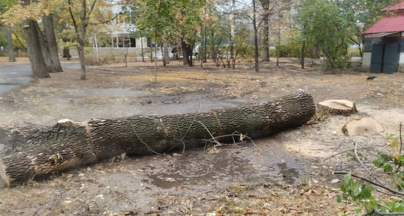 В Саратове с третьего раза нашли подрядчиков для благоустройства скверов