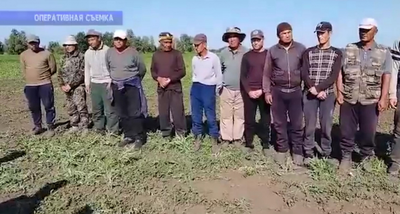 В Саратовской области выявили почти тысячу нарушений миграционного законодательства