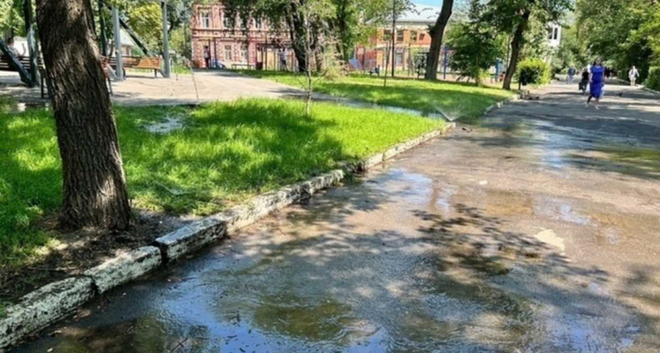 В Саратове с 8 июля частично закроют Детский парк из-за благоустройства после скандального провала аукциона