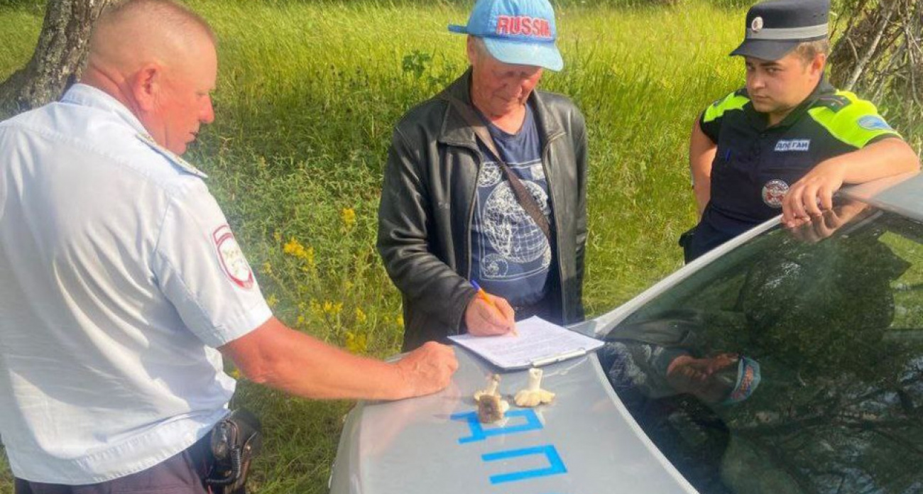 В Саратовской области грибник заблудился в лесу, оставив пожилую родственницу ждать в машине