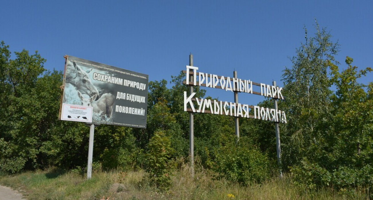 В Саратове возбудили уголовное дело из-за загрязнения «Кумысной поляны» на 10 миллионов рублей