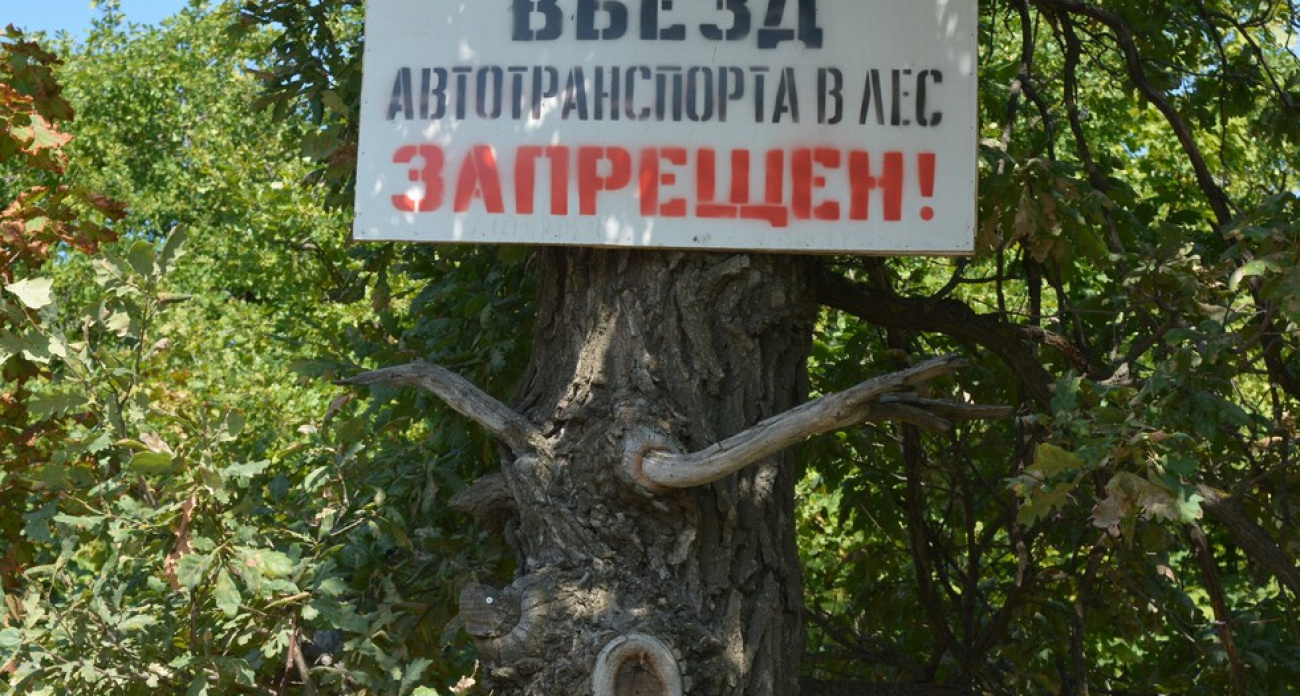 Саратовскую область закрыли от людей на 21 день из-за угрозы лесных пожаров