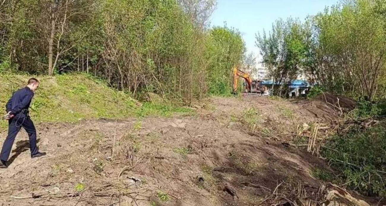 Бастрыкин лично вмешался в дело о засыпке Токмаковского ручья строительным мусором после жалоб жителей