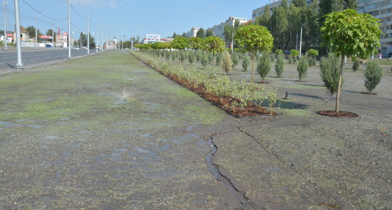 В Саратове за миллионы создали зеленую зону у стелы "Саратов", но забыли про дорожки для людей
