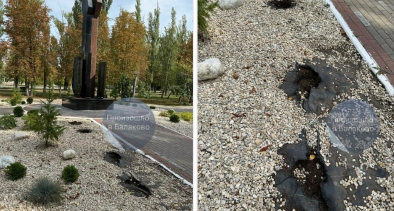 В Балаково воры выкопали туи у мемориала погибшим бойцам, оставив пустые ямы