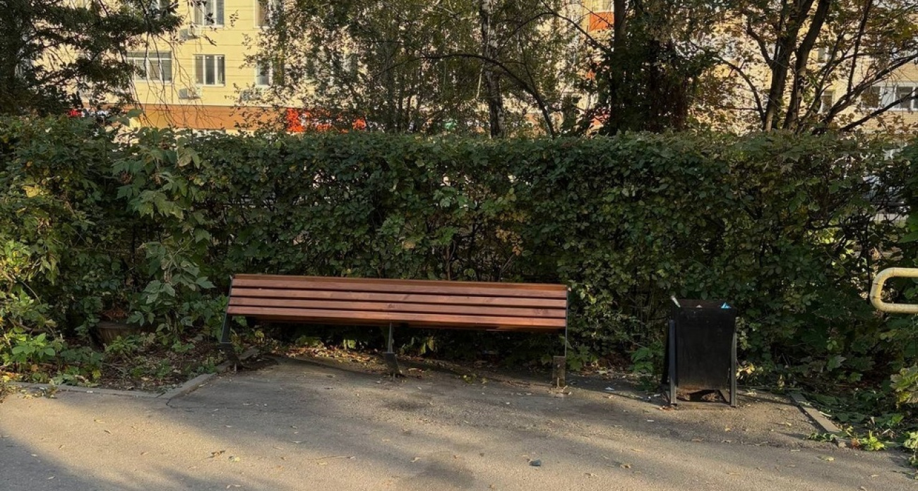 "Трава по колено, шатающиеся лавочки и вонь": аллея на Астраханской в Саратове шокировала горожан