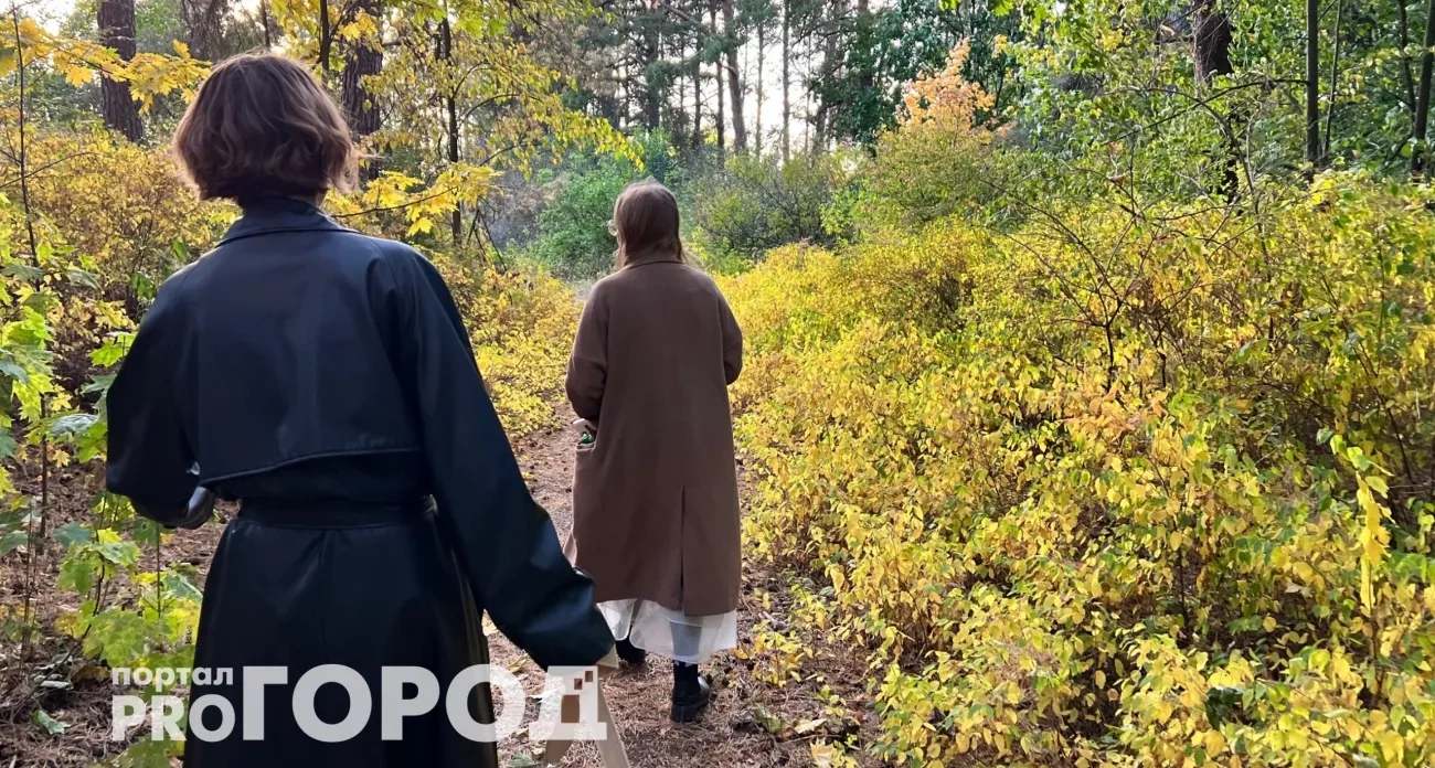 Тельцам звёзды обещают денежную удачу, а Львов ждёт страстная встреча — что приготовили небеса остальным знакам